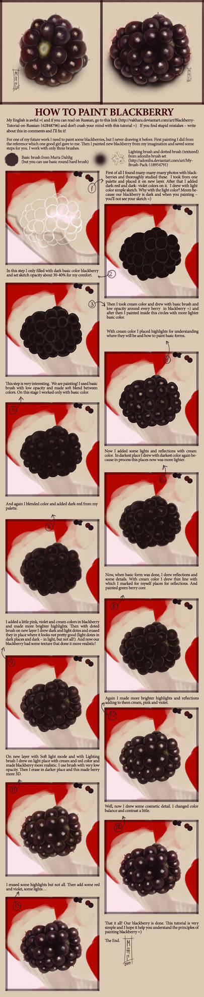 Blackberry Tutorial