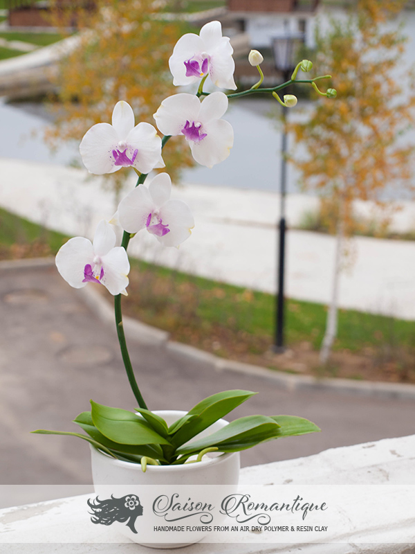 Phalaenopsis Orchid - Polymer Clay Flowers