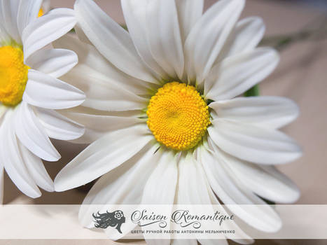 Daisy - Polymer Clay Flowers