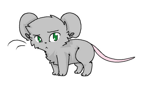 mouse