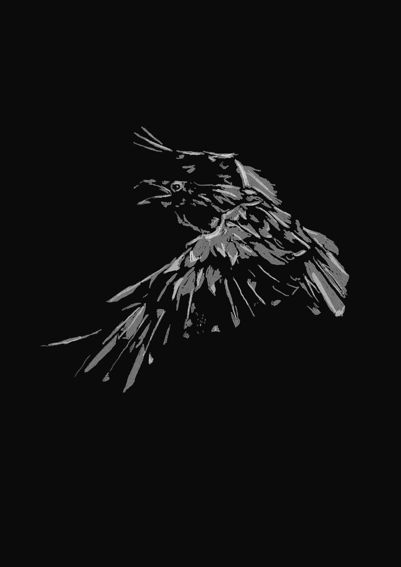 Raven Study 3 by 1nf0calypse on DeviantArt