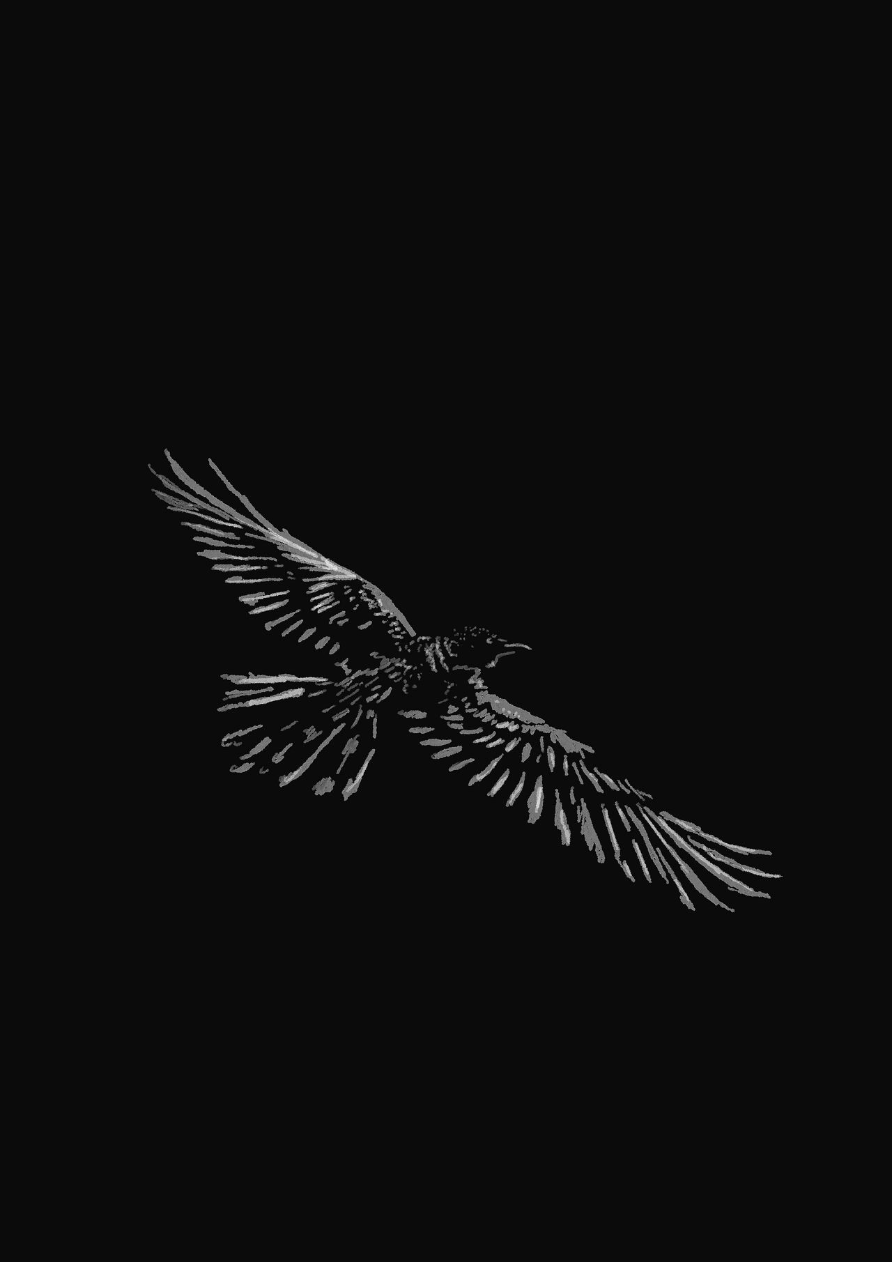 Raven Study 5 by 1nf0calypse on DeviantArt