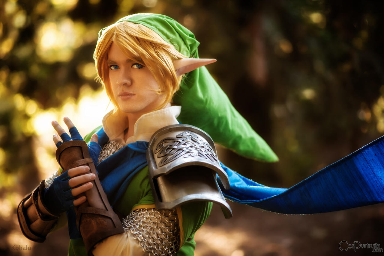 Portrait of Link, Legend of Zelda: Hyrule Warriors