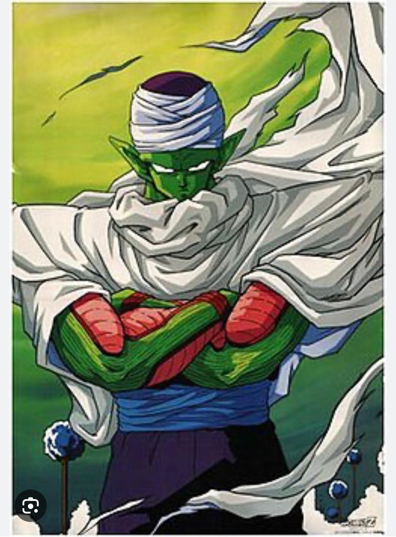 Picollo Back Picolo by Pablo1486 on DeviantArt