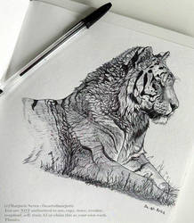 Tiger - Ballpoint pen