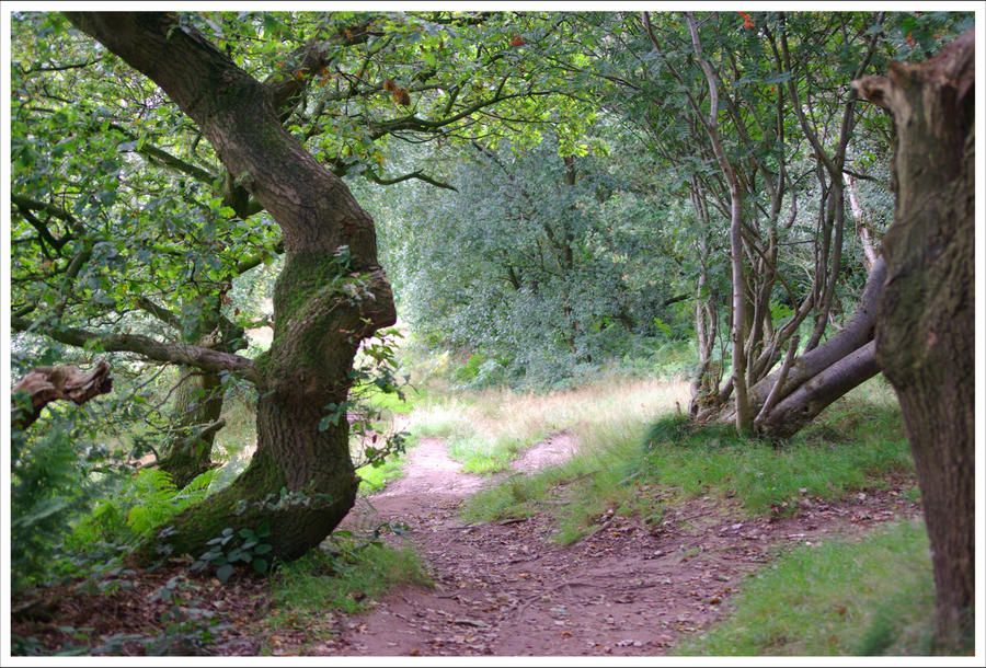 Continous Rough Path Rough Path by kentague on DeviantArt
