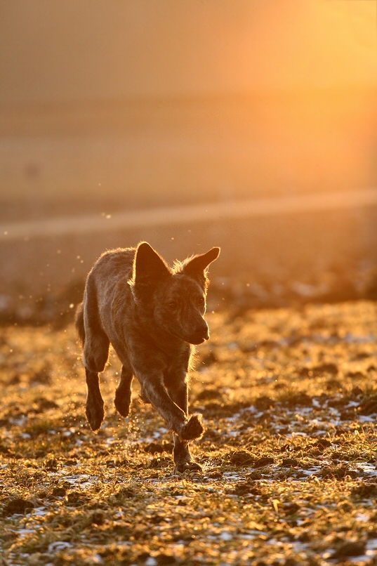 running