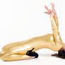 The golden catsuit 2