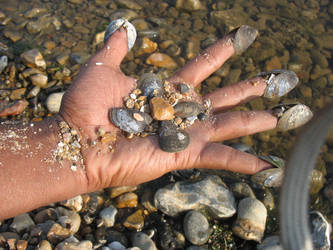 Beach Hand