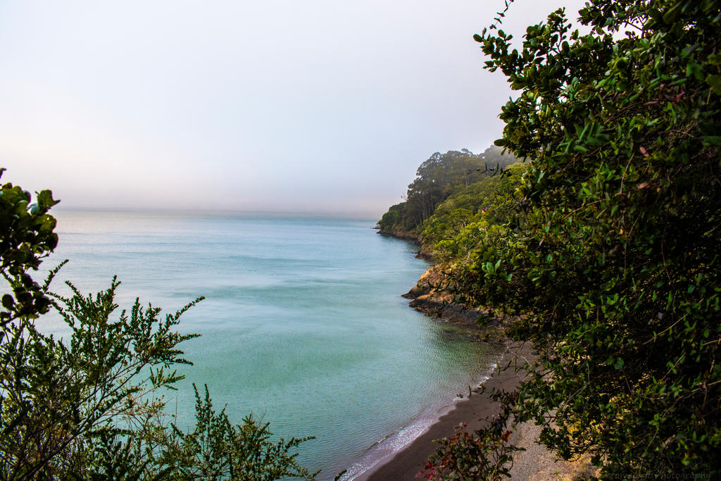 grumpypuppy - Hobbyist, Photographer | DeviantArt