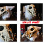 skull wolf head