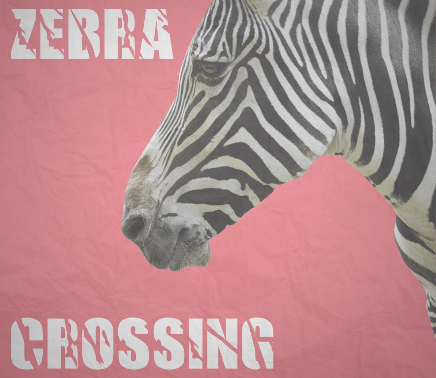 Zebra Crossing image thingy