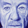 Sir Ian Mckellen (Ballpoint Pen Drawing)