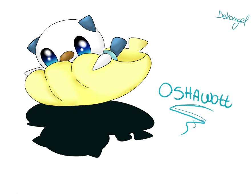 Pokemon _ Oshawott