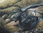 Little black Wyvern by jaxxblackfox