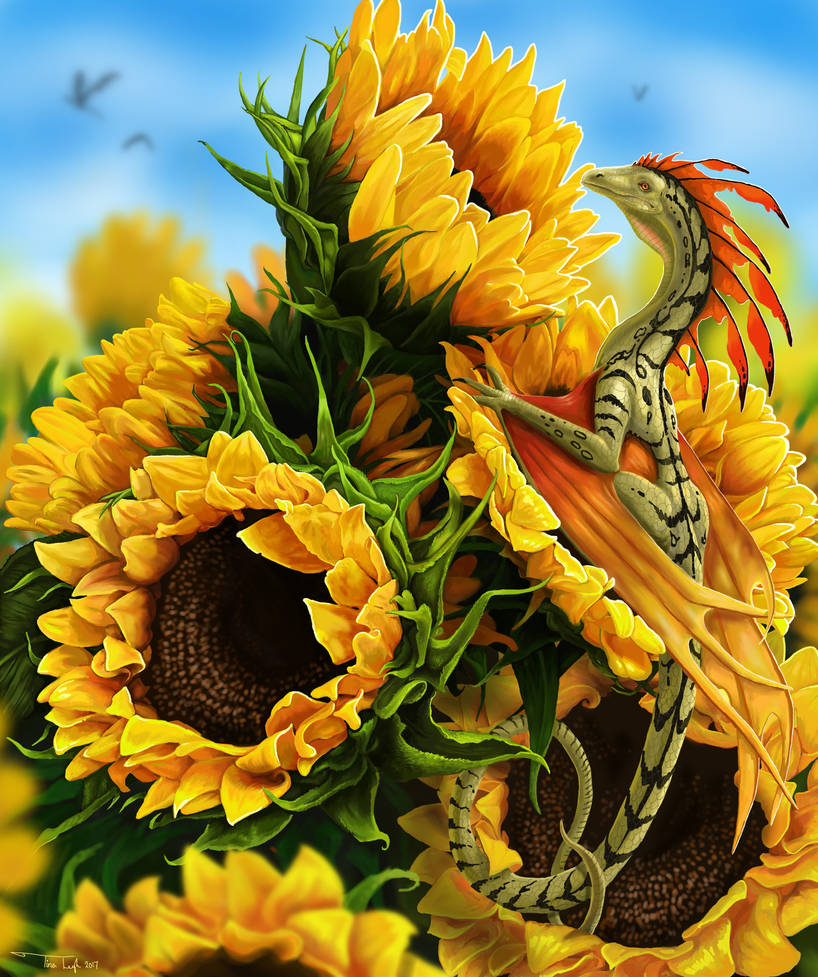 Sunflowers by jaxxblackfox
