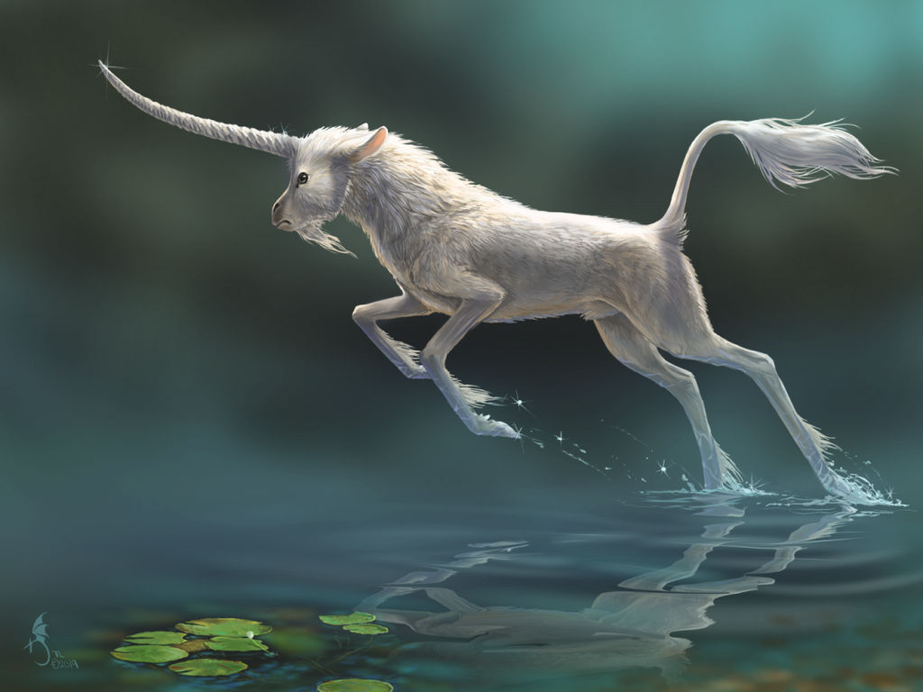 Fleeting by jaxxblackfox