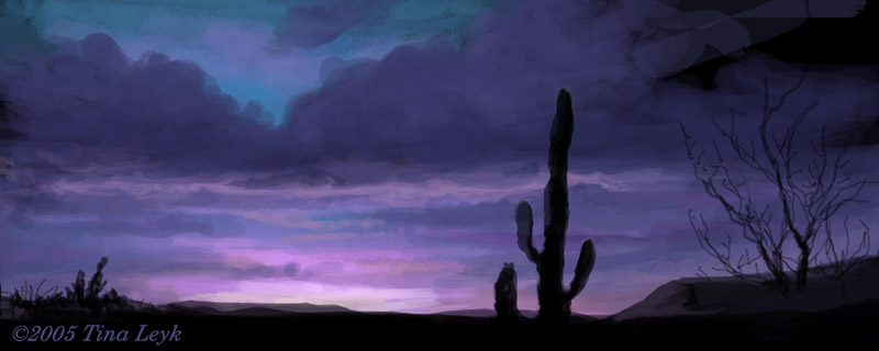 Desert sunset