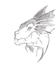Dragon sketch 