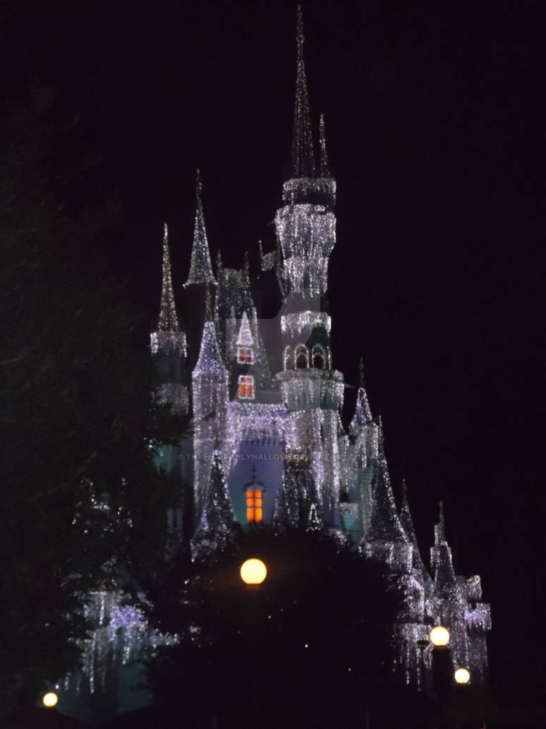 Cinderella's Castle