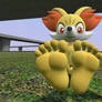 Fennekin Feet