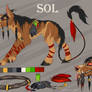 Sol Ref Sheet