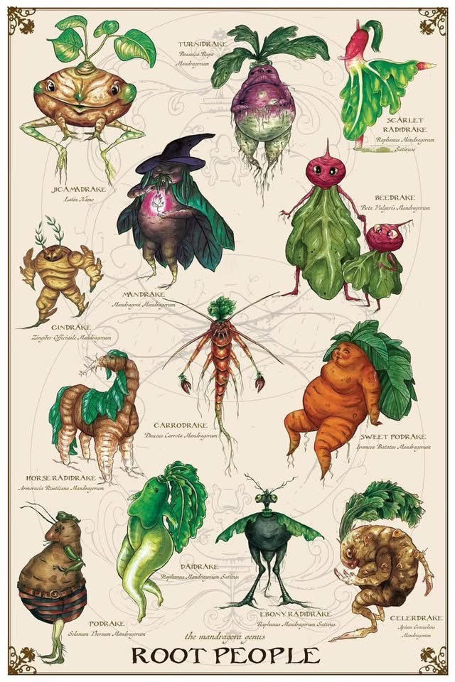 Root Charaters Root People by raguvaran on DeviantArt