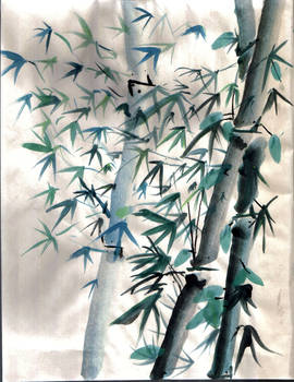 Bamboo Water-Color