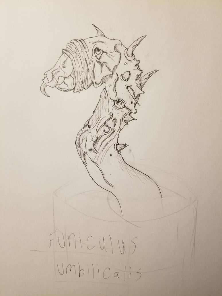 Fumiculus Funiculus Umbilicalis_Concept by DarkRoom-Games on DeviantArt