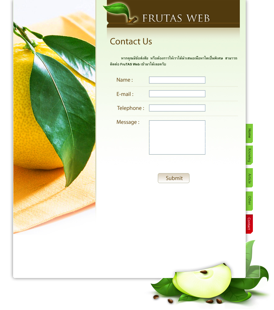 Webdesign FruitConcept 04