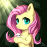 Fluttershy