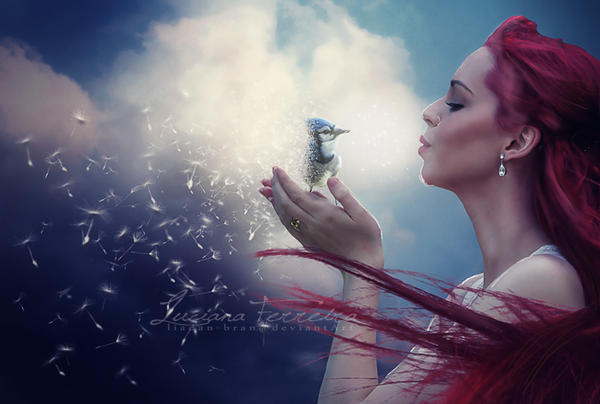 Elements: Air by liadan-bran Elements: Air by liadan-bran