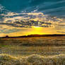 HDR Sunset Harvest