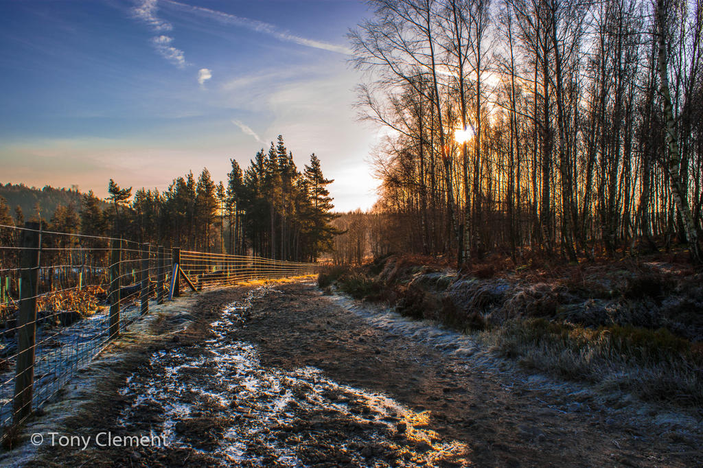 Icey Mud Path by TonyClem on DeviantArt