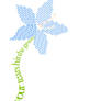 Zephyrus Flower Typo