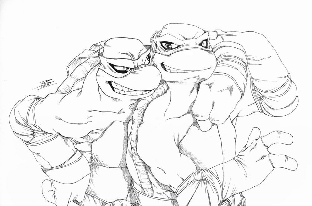 TMNT: Elder Brothers