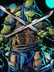 TMNT 2014: Leonardo