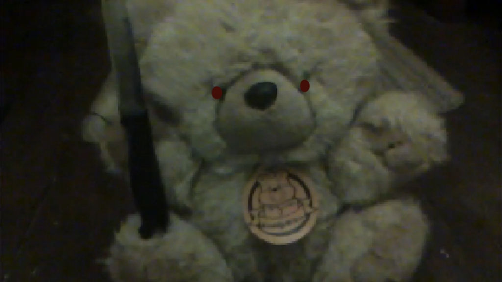 The DAMN TEDDY BEAR!!!