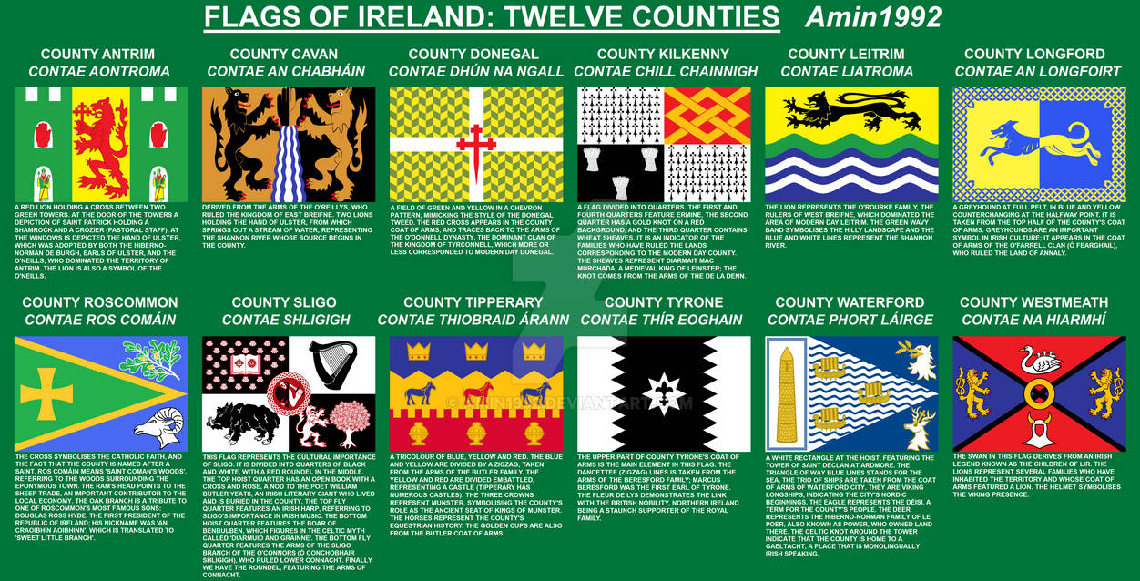 Flags Of Ireland Twelve Counties By Amin1992 On DeviantArt flags-of-ireland-twelve-counties-by-amin1992-on-deviantart