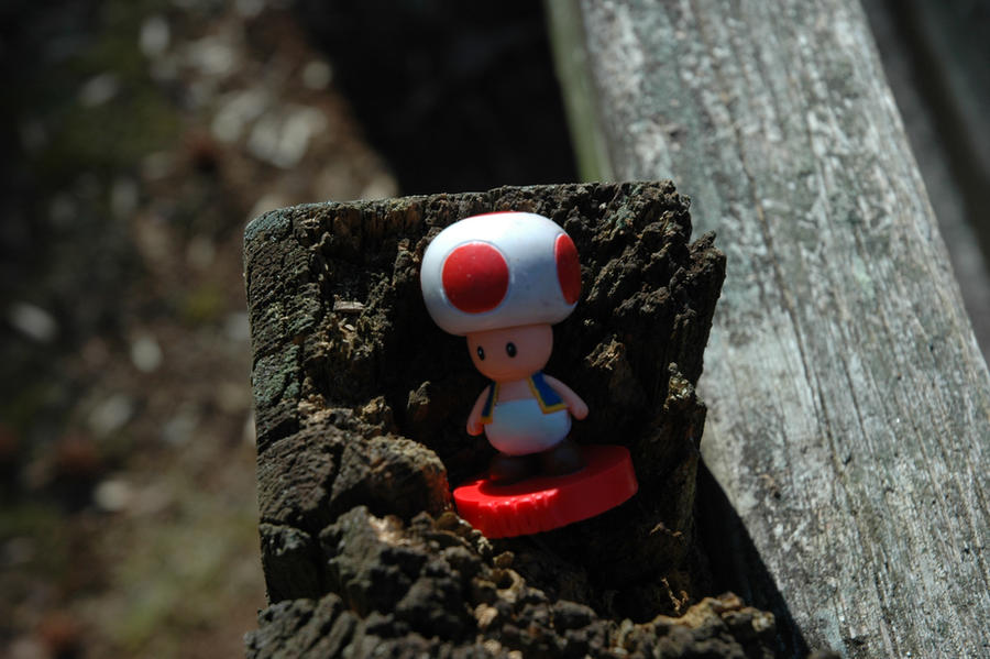 Napping Toad Toad: Time for a nap... by xXRainbowEmoXx on DeviantArt