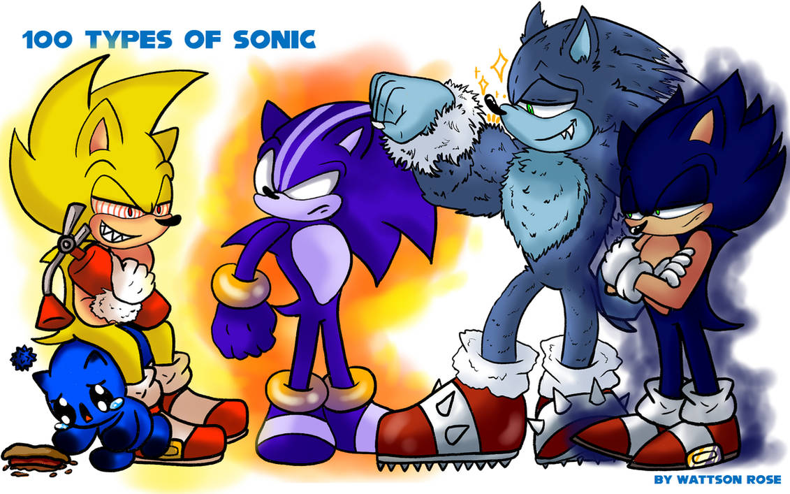100 types of Sonic - Part 2 by WattsonRose on DeviantArt