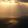 Rays of Hope
