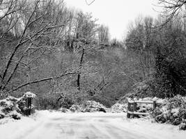 Snowy Bridge