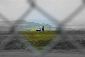 Through the Fence Lies Colour