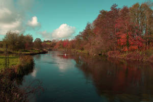 The Lake in Autumn