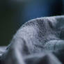 Day 195: Textiles