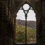 Day 304: Tintern Abbey in Autumn