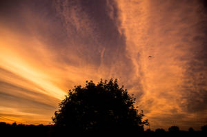 Julys Firey Skies