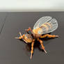 Bee 2