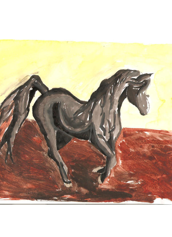 Black Horse by spiritwild on DeviantArt